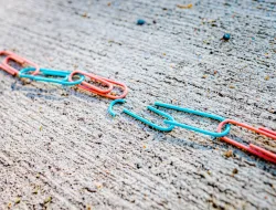 jackson simmer Vqg809B SrE unsplash