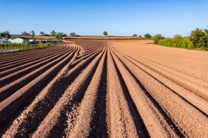 Ploughed Field